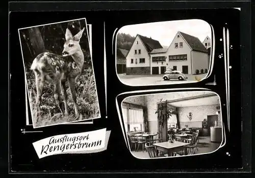 AK Rengersbrunn /Gemünden, VW Käfer vorm Gasthaus Marienborn, Innenansicht, Inh. R. Weis, ein Rehkitz