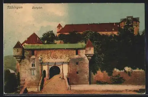 AK Tübingen a. N., Burgtor aus der Vogelschau