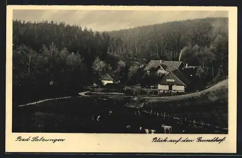 AK Bad Salzungen, Blick auf den Grundhof