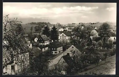 AK Sachsenburg b. Frankenberg, Ortsansicht aus der Vogelschau