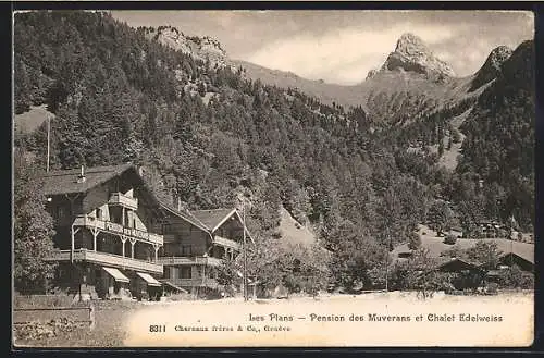 AK Les Plans, Pension des Muverans et Chalet Edelweiss