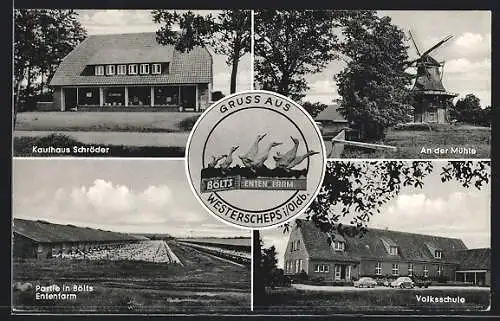 AK Westerscheps i. Oldb., Das Kaufhaus Schröder, Windmühle, Bölt`s Entenfarm, Volksschule