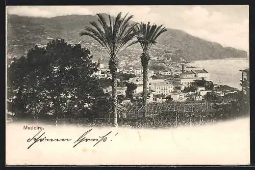 AK Madeira, Panorama