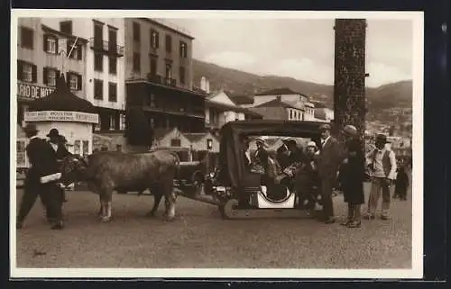 AK Madeira, Urlaubsgäste im Korbschlitten