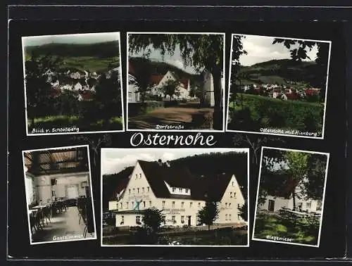 AK Osternohe, Gasthof und Hotel-Pension Goldner Stern, Dorfstrasse, Blick v. Schlossberg