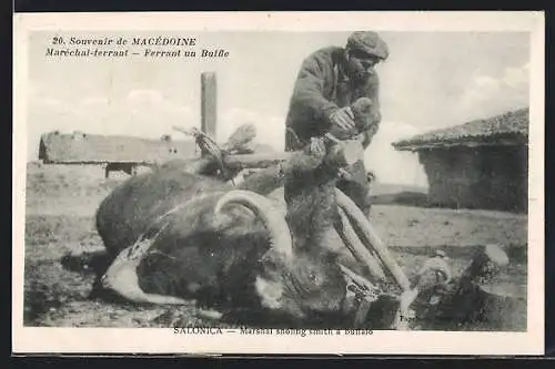 AK Salonica, Marshal sholing smith a buffalo, Hufschmied bei der Arbeit