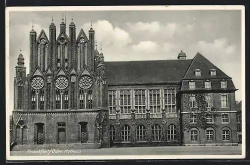 AK Frankfurt /Oder, Rathaus im Sonnenschein