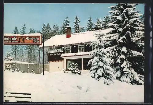 AK Braunlage /Harz, Waldcafé Unter den Buchen, Bes. P. u. Ch. Waterkamp