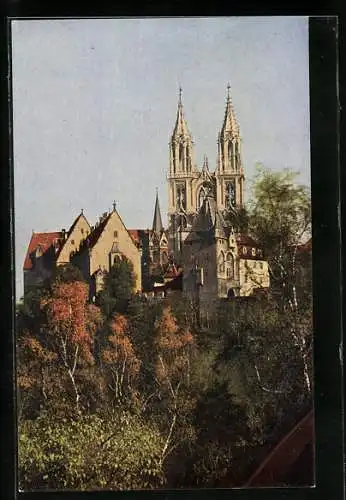 AK Meissen, Kgl. Albrechtsburg und Dom vom Meisatal