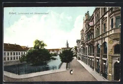 AK Erfurt, Strasse am Junkersand mit Schwaneninsel