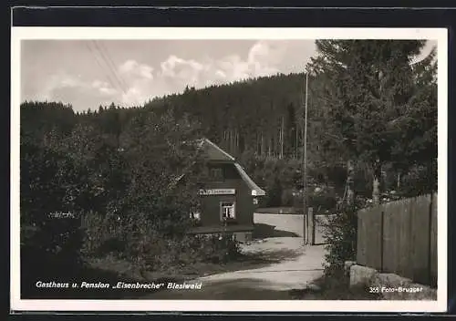 AK Blasiwald, Gasthaus und Pension Eisenbreche