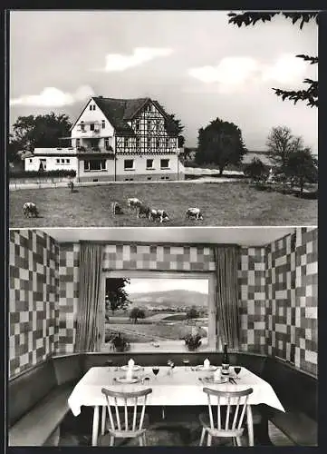 AK Steinbach / Odenwald, Gasthaus-Pension Strauss, Weidende Kühe, Innenansicht