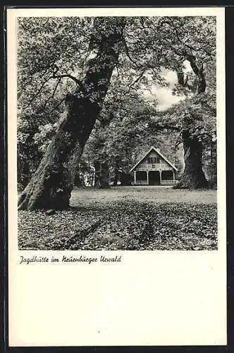 AK Zetel i. O., Jagdhütte im Neuenburger Urwald