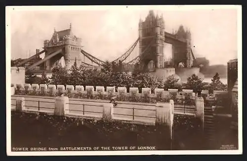 AK London, Tower Bridge from Battlements of the Tower of London