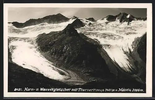 AK Horn- u. Waxeckgletscher mit Thurnerkamp und Mösele