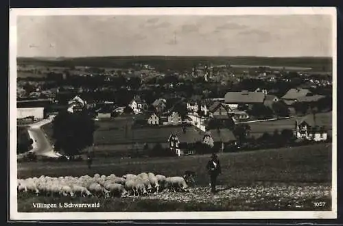 AK Villingen /Schwarzwald, Ortsansicht mit Schafherde und Schäfer