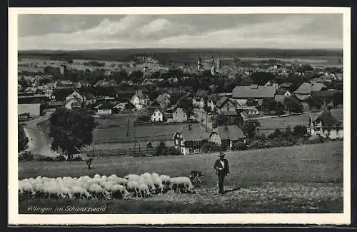 AK Villingen /Schwarzwald, Ortsansicht mit Schafherde