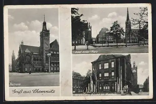 AK Chemnitz, Versteinerte Bäume am Museum, Platz, Rathaus