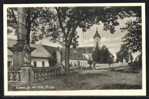 AK Blumau an der Wild, Ortspartie mit Kirche