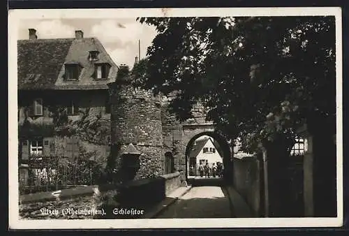 AK Alzey /Rheinhessen, Partie am Schlosstor