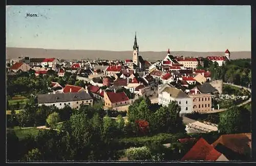 AK Horn, Totalansicht mit Anlagen und Brücke aus der Vogelschau