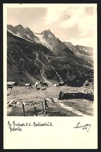 Foto-AK Hans Hruschka Nr. 719: Gr. Greiner v. d. Berlinerhütte