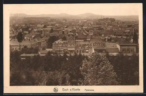 AK Esch /Alzette, Panorama