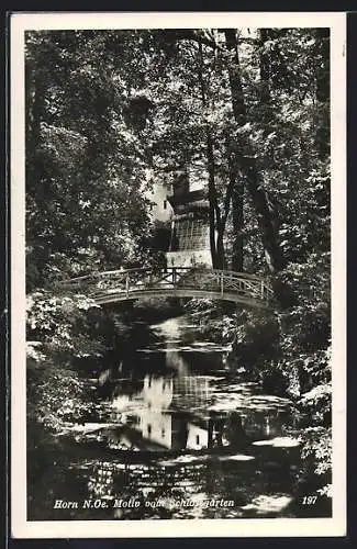 AK Horn /N. Ö., Schlossgarten, Motiv mit Brücke