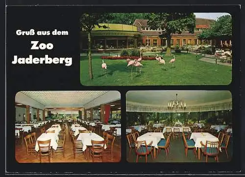 AK Jade, Zoo Jaderberg mit Restaurant