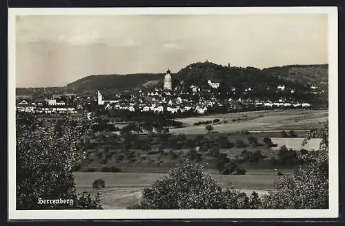 AK Herrenberg, Ortsansicht mit Landschaft und Kirche