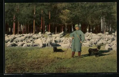 AK Schäfer mit Herde und Hütehunden im Harz