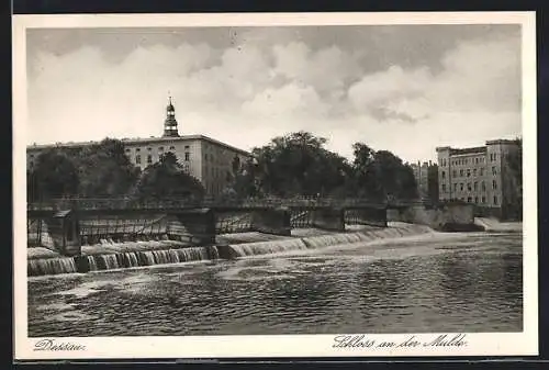 AK Dessau, Schloss an der Mulde