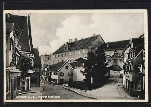 AK Dillingen a. Do., Unterer Stadtberg, Strassenpartie