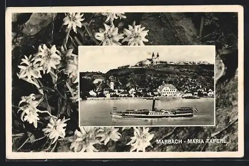 AK Marbach, Ortsansicht mit Schloss Maria Taferl, Dampfer, Edelweiss