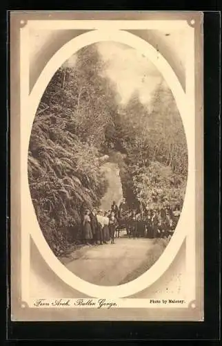 Präge-AK Buller Gorge, Fern Arch