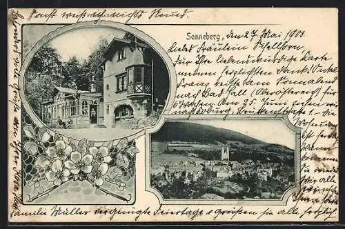 AK Sonneberg / Thüringen, Gasthof Felsenkeller, Ortsansicht aus der Vogelschau