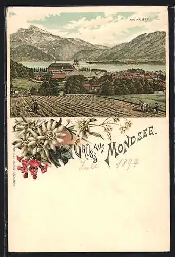 Lithographie Mondsee, Ortsansicht mit Kirche aus der Vogelschau