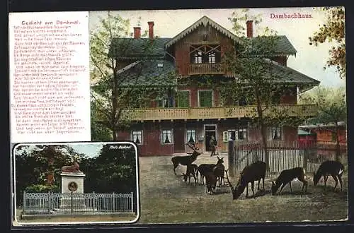 AK Thale /Harz, Dambachhaus im Buchenwald, Pfeil`s Denkmal