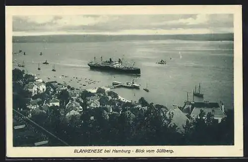 AK Hamburg-Blankenese, Blick vom Süllberg auf Strand und Passagierschiff