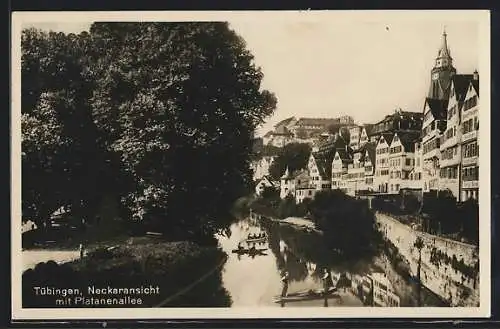 AK Tübingen, Neckaransicht mit Platanenallee