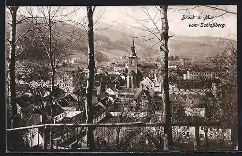 AK Bruck a. Mur, Ortsansicht vom Schlossberg aus