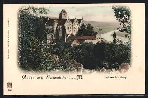 AK Schonungen, Blick auf Schloss Mainberg