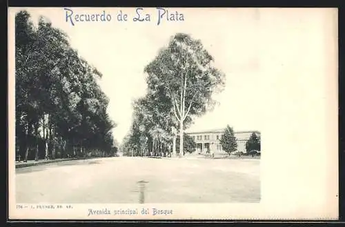 AK La Plata, Avenida principal del Bosque