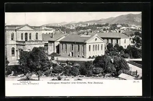 AK Wellington, Hospital and Grounds