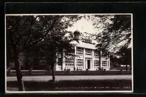 AK Nelson, Auckland Point School