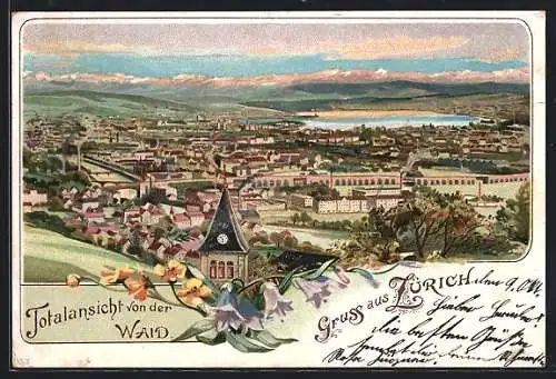 Lithographie Zürich, Totalansicht von der Waid