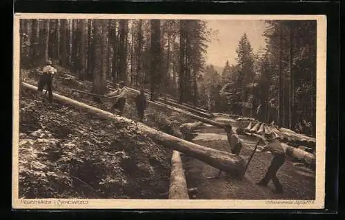 AK Holzschläger i. Schwarzwald