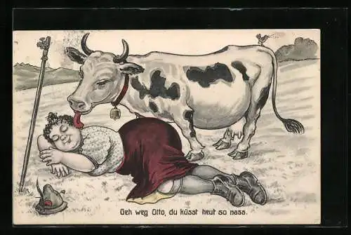 AK Kuh schleckt mit der Zunge über das Gesicht der schlafenden Wanderin
