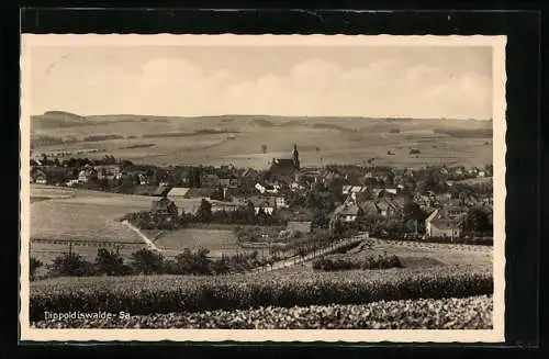 AK Dippoldiswalde /Sa., Teilansicht mit Kirche