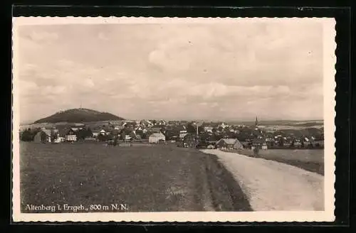 AK Altenberg i. Erzgeb., Teilansicht mit Feldweg